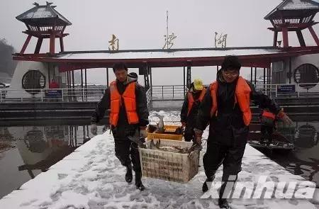 捕魚游戲王最新版本,捕魚游戲王最新版本，深度解析與觀點闡述