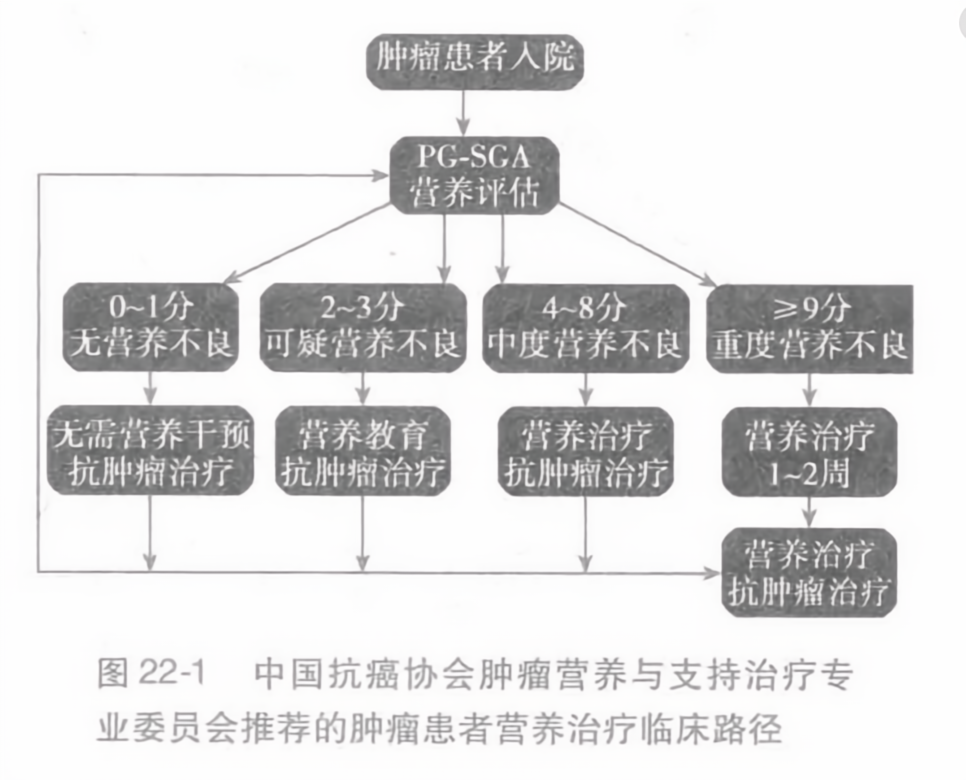 中國腫瘤營養(yǎng)指南最新版的背景、影響與地位解析