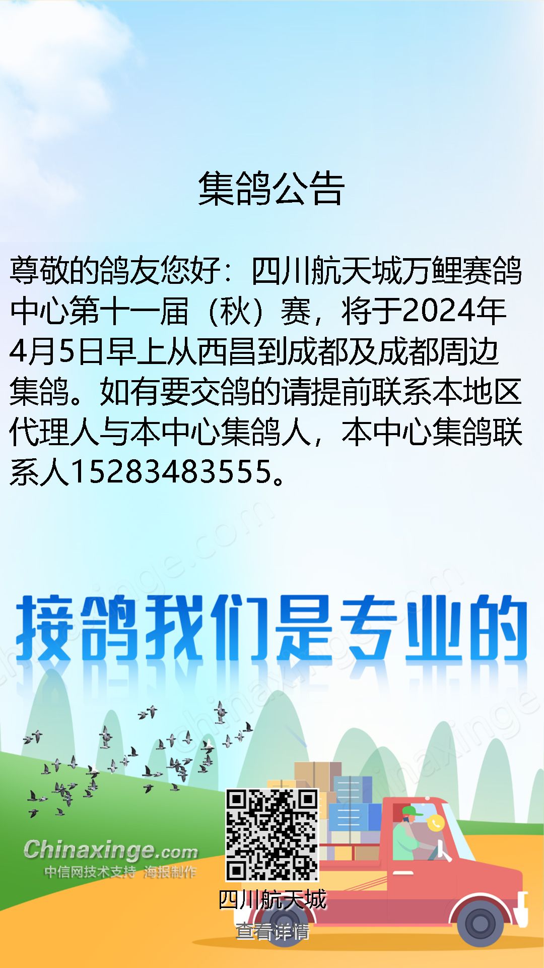 最新賽鴿招工信息及步驟指南