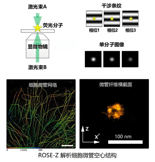 一肖一碼100%中,數(shù)據(jù)科學(xué)解析說明_VR版18.640