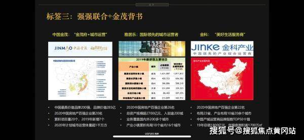 最新職業(yè)斗狗，趨勢、挑戰(zhàn)與深度解析