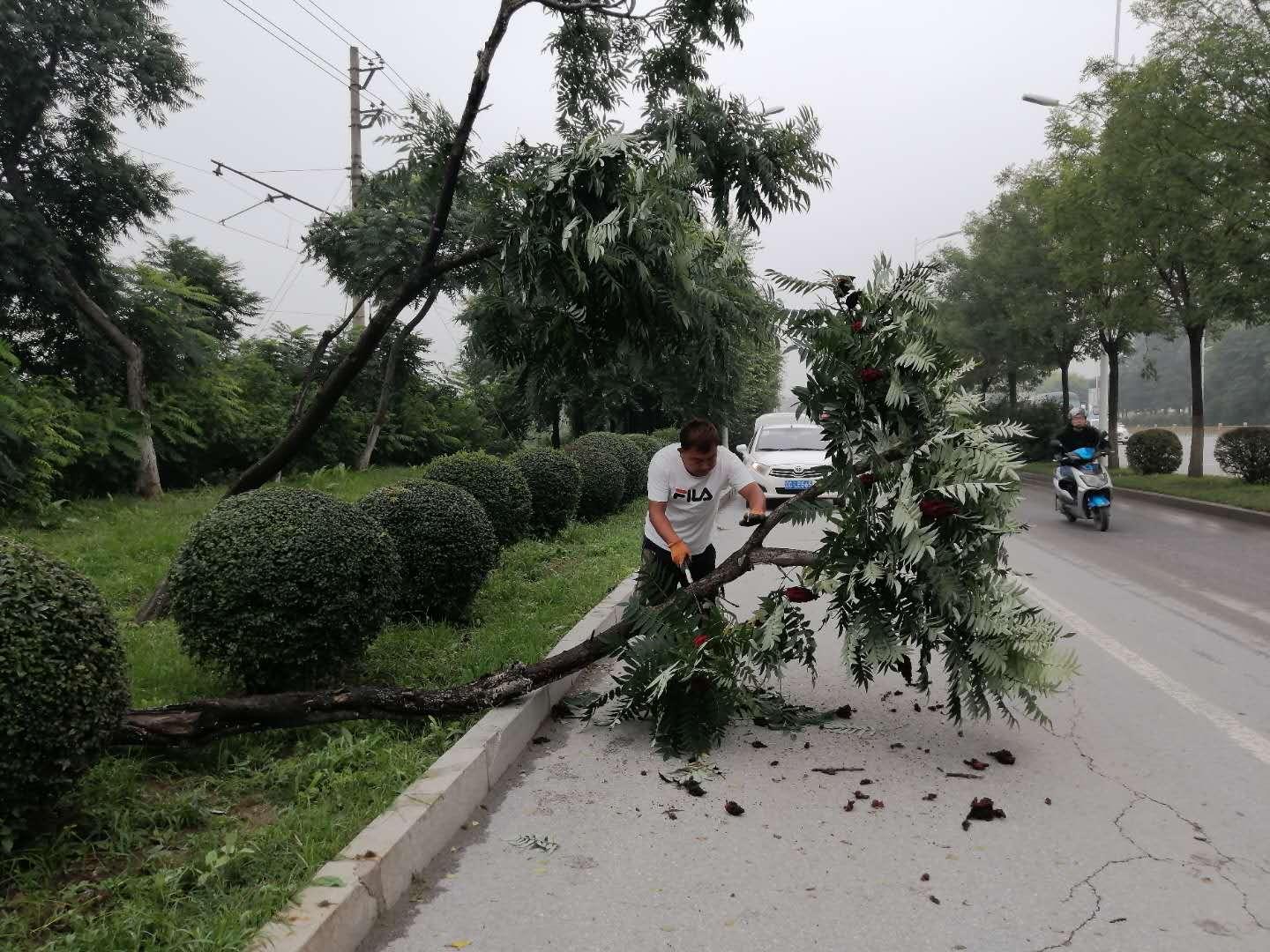 冰雹突襲下的溫馨家庭故事，最新冰雹視頻記錄瞬間時刻