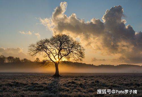 癡荊最新，自然美景之旅，探尋內(nèi)心平和與喜悅的旅程